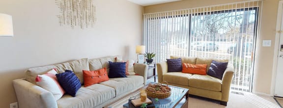Apartments that cheap allow rottweilers